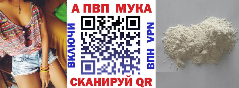 A PVP СК КРИС Саранск