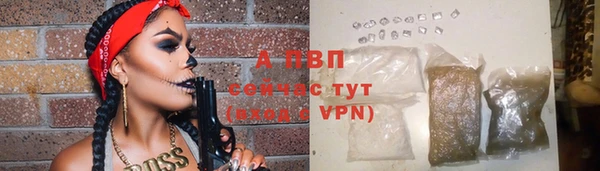 стаф Вязники